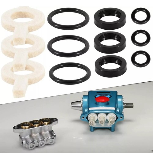 Seal kit for cat pump - seal,